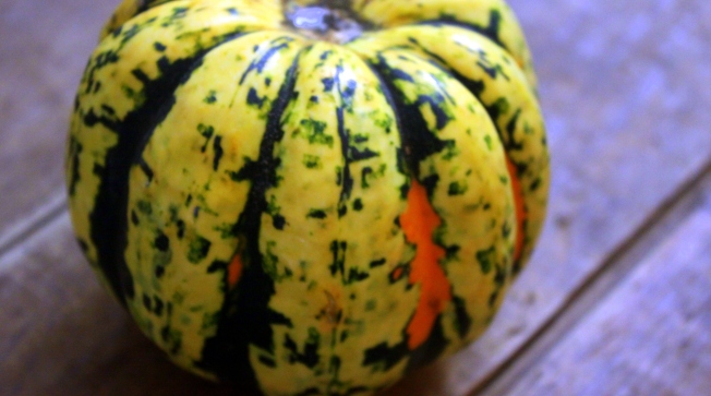 Carnival squash is just one of the many kinds of winter squash to cook this fall and winter.